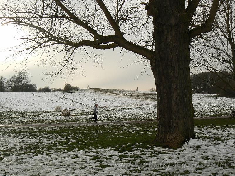 Winter, Hampstead Heath P1070526.JPG